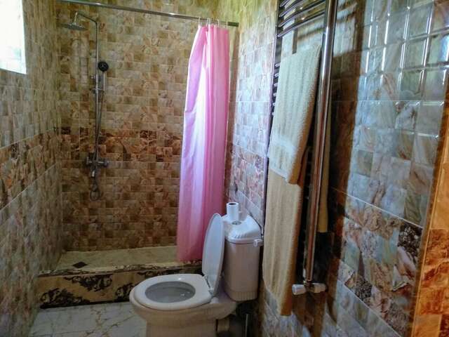 Отель Hotel Edemi Castle Кутаиси-20