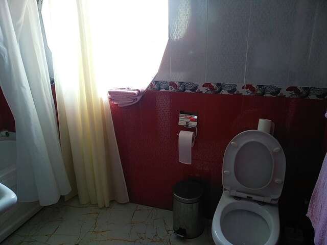 Отель Hotel Edemi Castle Кутаиси-7